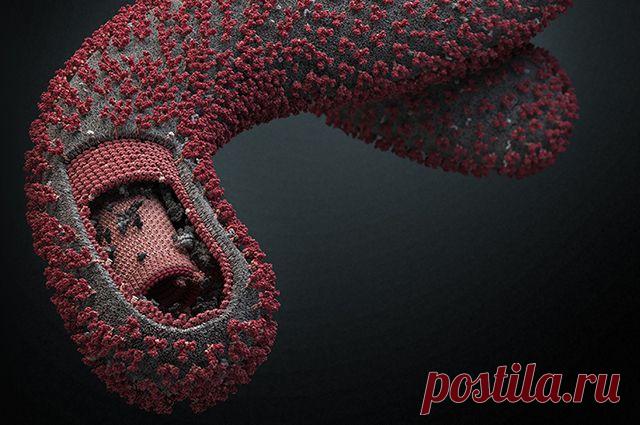 От этих изображений захватывает дух! Научные иллюстрации из России стали известны на весь мир