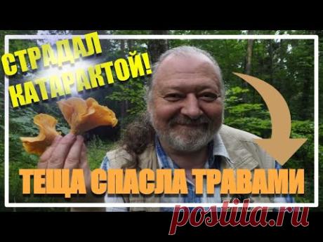 Грибник страдал катарактой но тёща спасла лесными травами его глаза