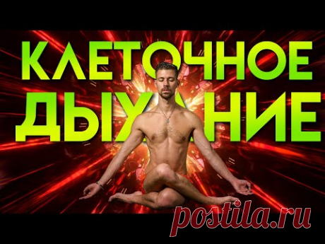 ДЫХАТЕЛЬНАЯ ПРАКТИКА от Никиты Метелицы. Клеточное дыхание. #биохакинг #дыхание