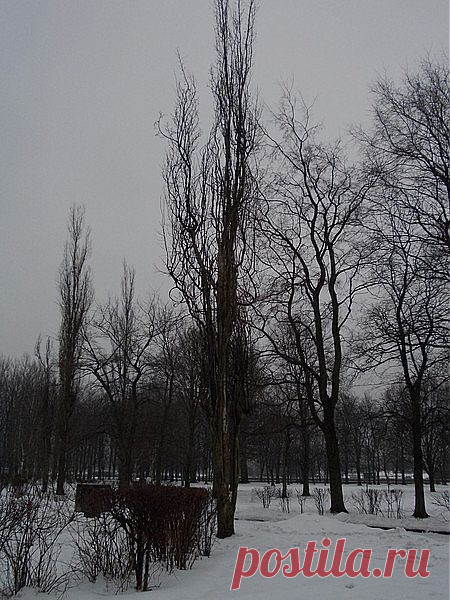 «Парк Ленина.»