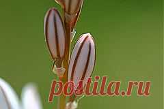 Аффирмации на Каждый День / 28 марта 2014 г. - svetlana.vashuk61@mail.ru - Почта Mail.Ru