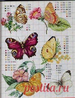 (640) Butterfly cross stitch | Insects