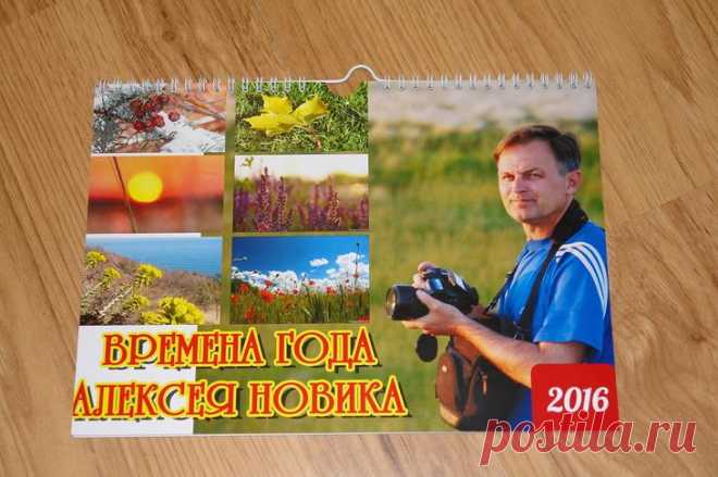 Мои времена года