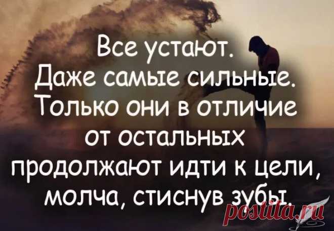 1585471580_38.jpg (730×504)