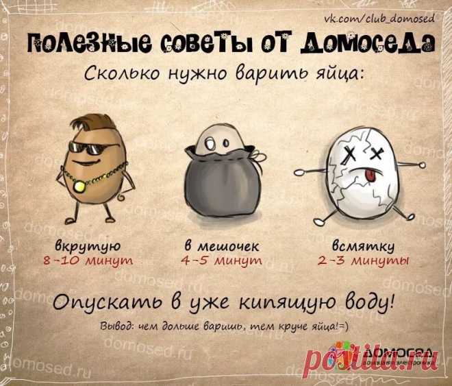 полезные советы на все случаи жизни: 14 тыс изображений найдено в Яндекс.Картинках