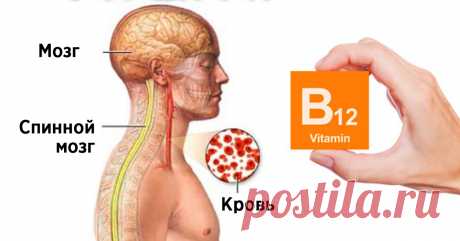 Появились проблемы со зрением и памятью? В этом виноват дефицит витамина B12!