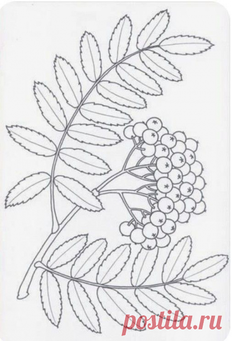 Pin page
