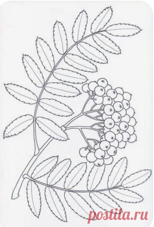 Pin page