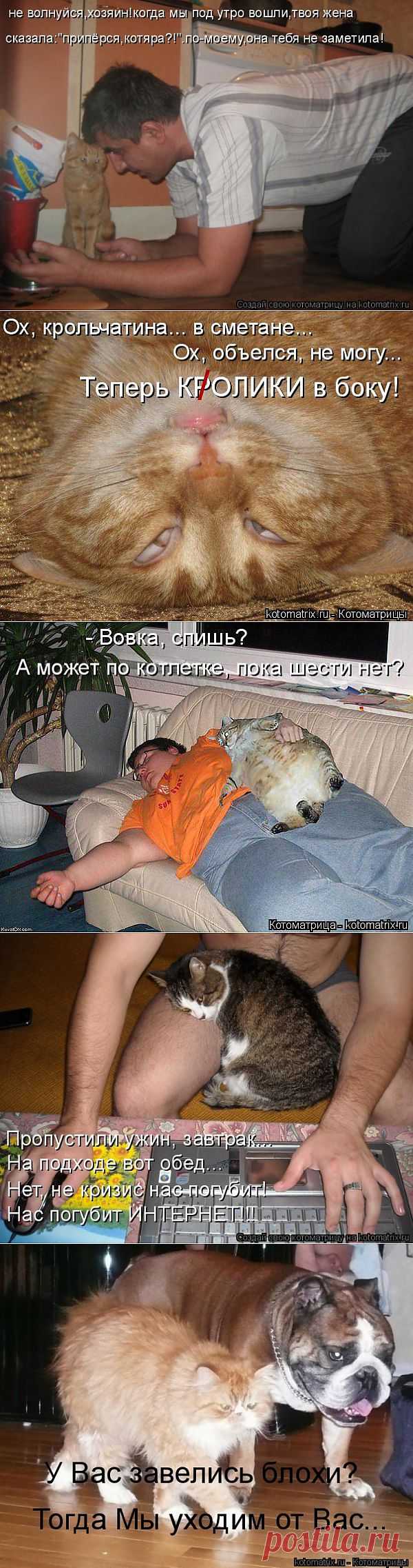Котоматрица | ОБОРЖАКА ;)