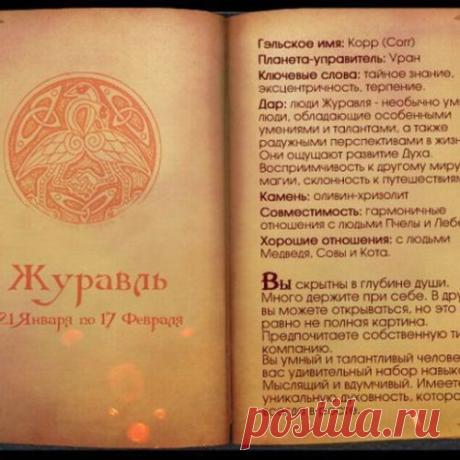 какое вы животное по кельтскому гороскопу