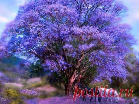 Мой Мир@Mail.Ru