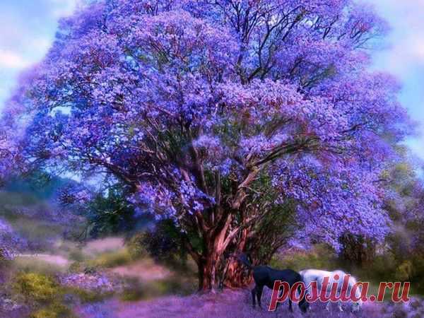 Мой Мир@Mail.Ru