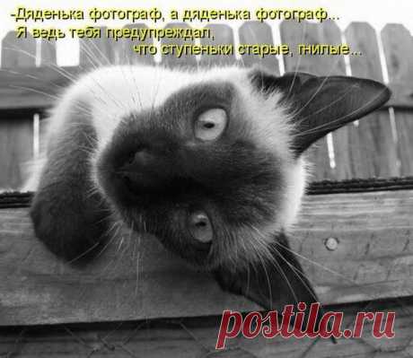 Для хорошего настроения