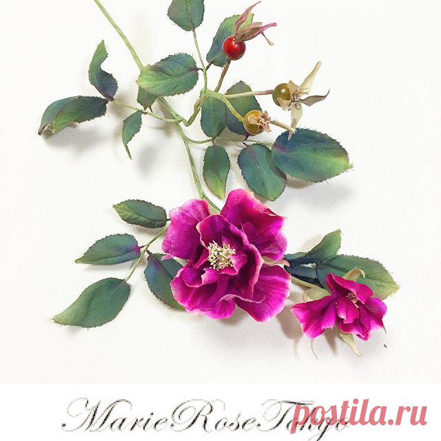 marie_rose_tokyo • View Yoko Asai🌺 ( @marie_rose_tokyo )'s Instagram Account