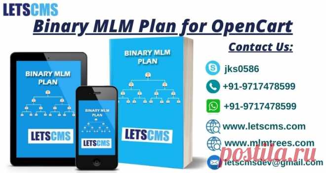 Binary MLM Plan is one of the most popular networking MLM Plan for networking business with rapid growth opportunities. In this plan, every recruiter has to refer two active people to form a network like one to their right leg and another to their left leg and encourage them to recruit members under their legs to form a wide network of active peoples. This can result in rapid growth in networks with a large number of organization members in a short period of time. Visit/Contact us to know more.