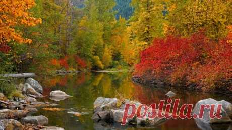 Листьев жёлтых, листьев красных, много в эти дни. посмотрите, как прекрасно выглядят они!