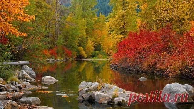 Листьев жёлтых, листьев красных, много в эти дни. посмотрите, как прекрасно выглядят они!