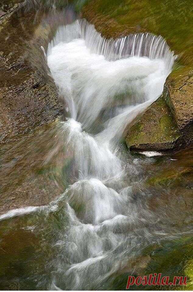 (634×960)