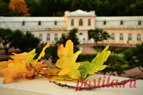 Есть в светлости осенних вечеров
 Умильная, таинственная прелесть!..
 Зловещий блеск и пестрота дерев,
 Багряных листьев томный, легкий шелест,
 Туманная и тихая лазурь
 Над грустно-сиротеющей землею
 И, как предчувствие сходящих бурь,
 Порывистый, холодный ветр порою,
 Ущерб, изнеможенье — и на всем
 Та кроткая улыбка увяданья,
 Что в существе разумном мы зовем