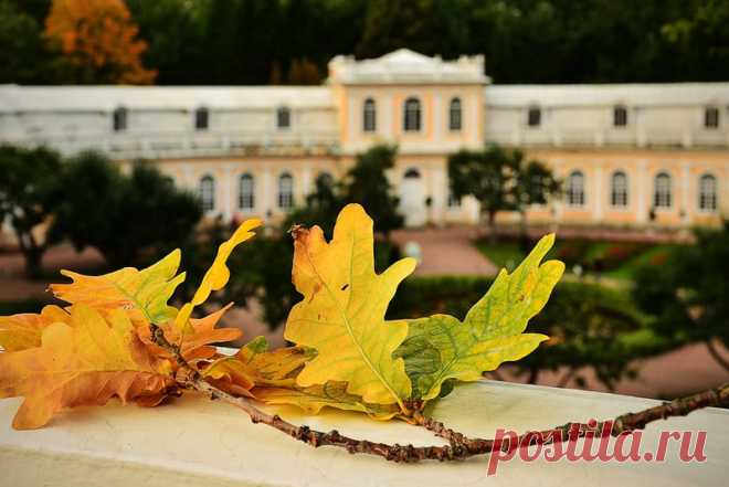 Есть в светлости осенних вечеров
 Умильная, таинственная прелесть!..
 Зловещий блеск и пестрота дерев,
 Багряных листьев томный, легкий шелест,
 Туманная и тихая лазурь
 Над грустно-сиротеющей землею
 И, как предчувствие сходящих бурь,
 Порывистый, холодный ветр порою,
 Ущерб, изнеможенье — и на всем
 Та кроткая улыбка увяданья,
 Что в существе разумном мы зовем