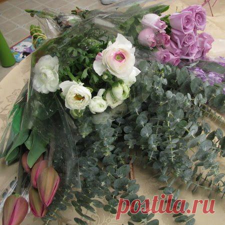 Теория флористики. Основы флористики в лекциях.: Фото мастер-класс. Спиральная техника составления букета.