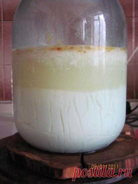 Самый вкусный творожок: потому что домашний / Рецепты с фото