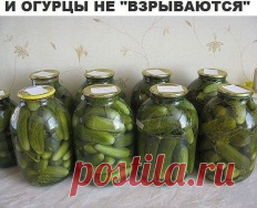 Женщина кричала что не войдет в воду, где купается собака - "Охота и рыбалка" - Почта Mail.Ru