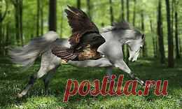 Берегите природу