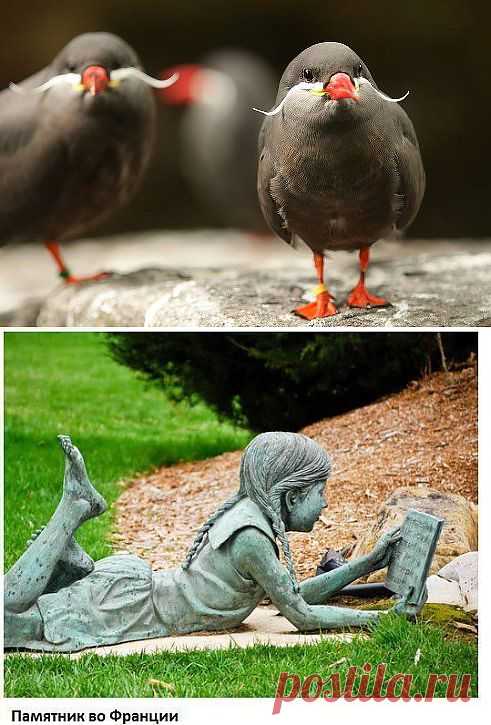 памятник во франции