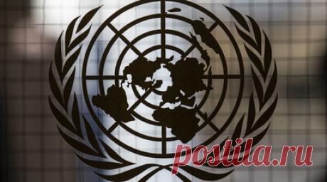 Правозащитники требуют исключить США из комитета ООН по правам человека. Представители ряда правозащитных организаций из США, России, Австрии и Франции направили обращение Генеральному секретарю ООН Антониу Гутеррешу, в котором потребовали исключить США из комитета по правам человека всемирной организации. Читать далее