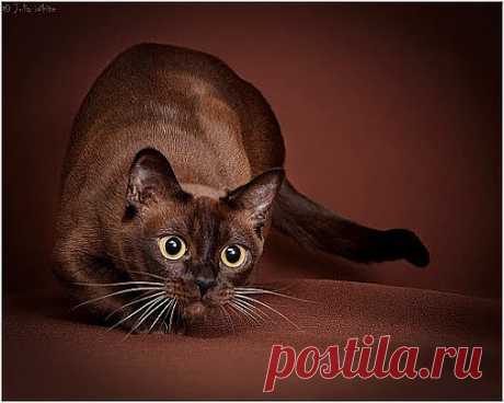 Самое интересное в мире: - natali5357@mail.ru - Почта Mail.Ru