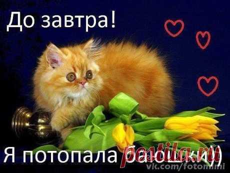 Мой Мир@Mail.Ru