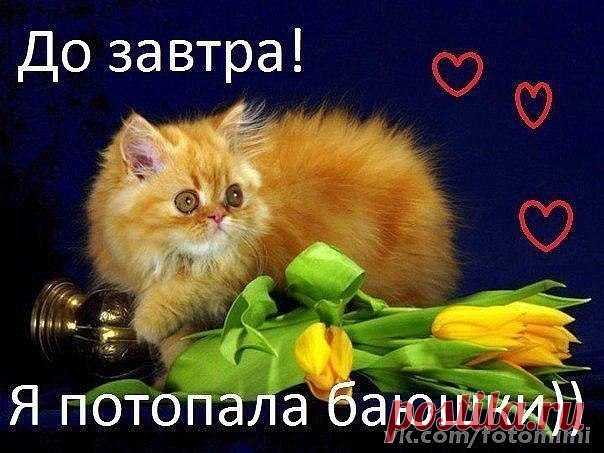 Мой Мир@Mail.Ru