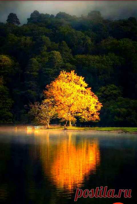 Arun Aron – Google+