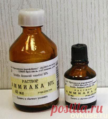 10% РАСТВОР АММИАКА НА ВСЕ СЛУЧАИ ЖИЗНИ - Простые рецепты Овкусе.ру