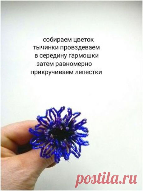 Мк" Васильки". Автор Ирина Егорова (Капкина)