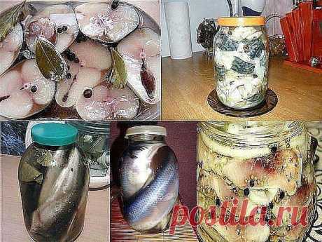 12 Рецептов домашнего посола скумбрий, сельди, кильки и мойвы!!!