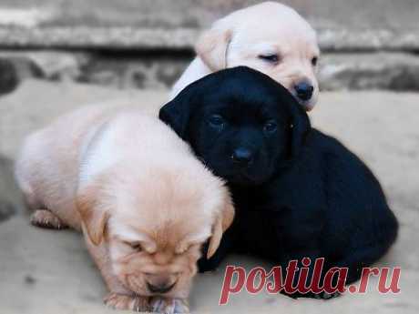 Мой Мир@Mail.Ru
