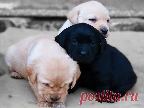 Мой Мир@Mail.Ru