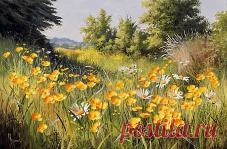 Художник Mary Dipnall. Полевые цветы... Разноцветье средь трав и росы....