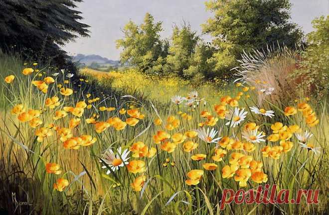 Художник Mary Dipnall. Полевые цветы... Разноцветье средь трав и росы....
