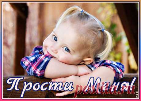 Картинка прости