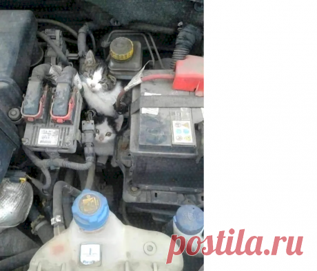 8b9c100a.png (896×768)