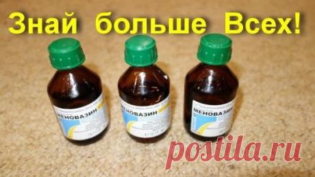 Меновазин: стоит копейки, а лечит 13 болезней! Почему я не знала этого раньше?!
Пузырёк меновазина обойдётся вам дешевле 24 рубля ($0,38), но это средство помогает от множества недугов. В частности:
1. Ангина.
При ангине советуют натереть больное горло меновазином и укутаться. От насморка также полезно нюхать меновазин, поочерёдно закрывая ноздри.
2. Бессонница.
Смочите ватный тампон меновазином и протрите шею в затылочной части от уха до уха. Это позволит вам быстро заснуть без приёма снотворн