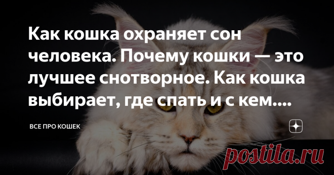 Как кошка охраняет сон человека. Почему кошки — это лучшее снотворное. Как кошка выбирает, где спать и с кем. Что означают её позы для сна Статья автора «Все про кошек» в Дзене ✍: Каждый любящий хозяин стремится к тому, чтобы его любимцу жилось хорошо и комфортно, а потому старается создать для него уютные условия.