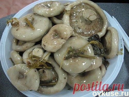 Как солить белые грузди - Простые рецепты Овкусе.ру