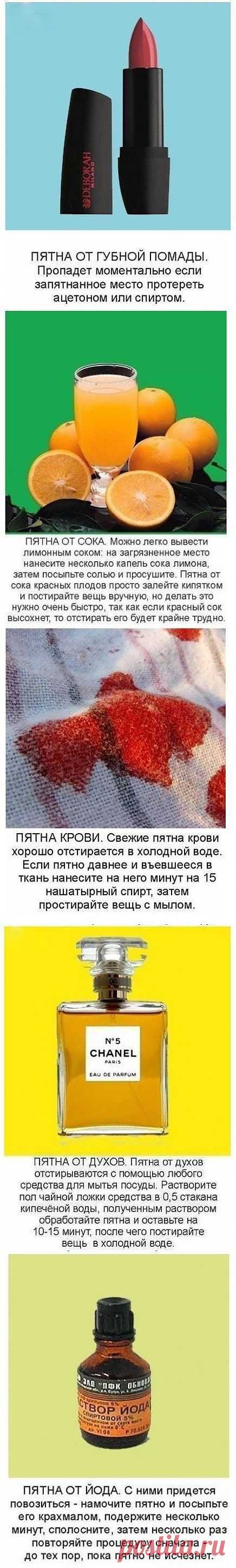Советы настоящей хозяйке / Все для женщины