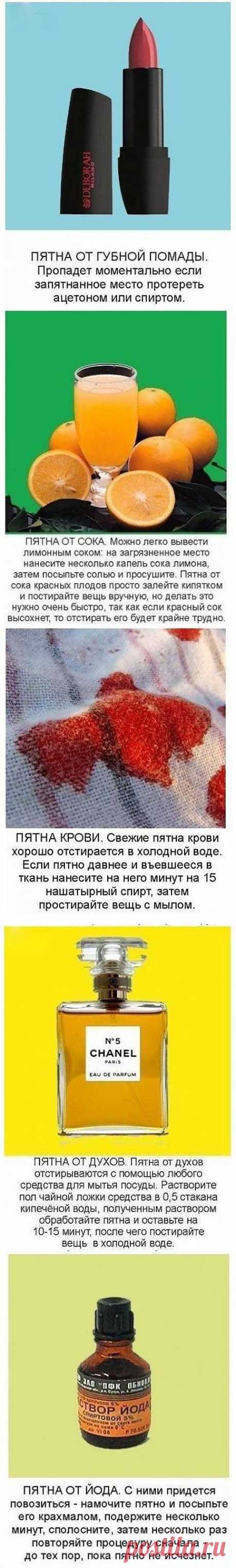 Советы настоящей хозяйке / Все для женщины