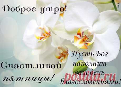 Наступила пятница,
Веселье приближается,
Клубы, жаркие тусовки,
Драйв лови без остановки.