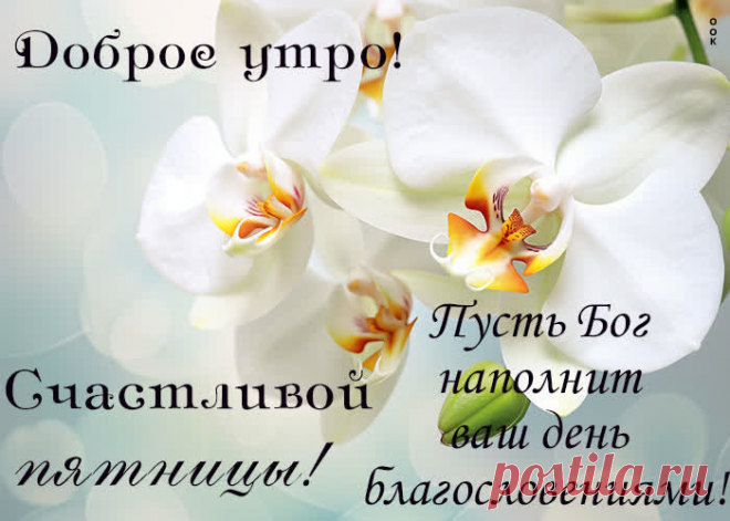 Наступила пятница,
Веселье приближается,
Клубы, жаркие тусовки,
Драйв лови без остановки.